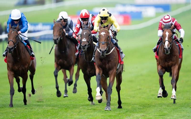 Aidan O’Brien Tarik Tujuh Kuda dari Derby, Strategi Baru Jelang Balapan Bergengsi